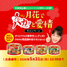 川栄李奈を起用した缶詰ケース当たる!／Umios