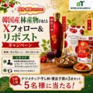 韓国産林産物の魅力を日本へ/韓国農水産食品流通公社